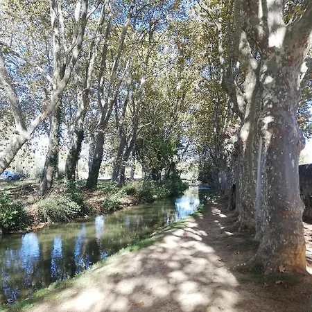 Sous Les Remparts Carcassonne