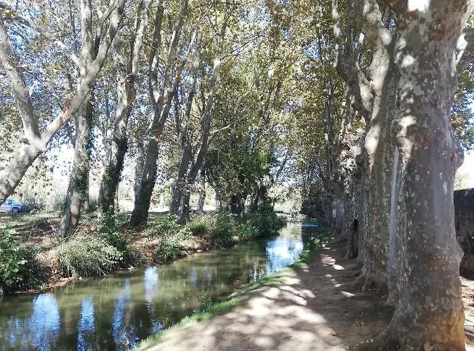 Sous Les Remparts Carcassonne